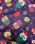 Hiboux d’hivers _ Bavette imperméable évolutive 1 à 4 ans